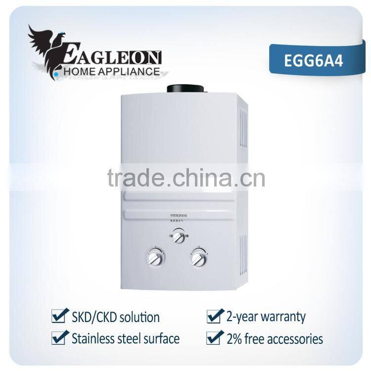 High efficient 6L stainless steel Portable Instant Flue type Gas Water heater EGG6A4
