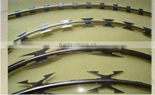 Concertina Razor Wire