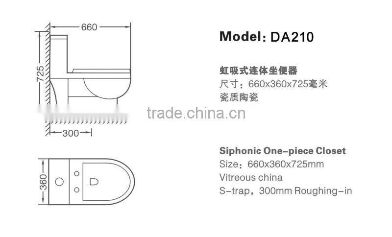 One piece siphonic ceramics closestool with S-trap DA210