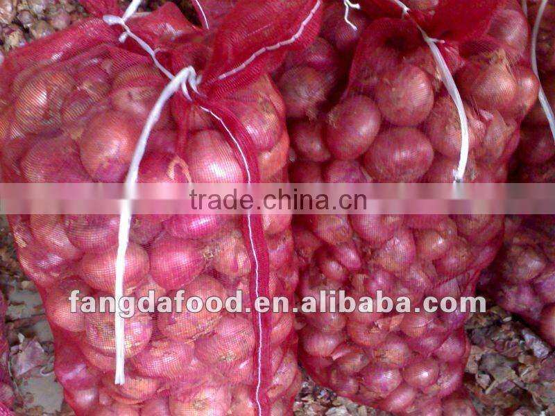 Fresh Yellow Onoion from china