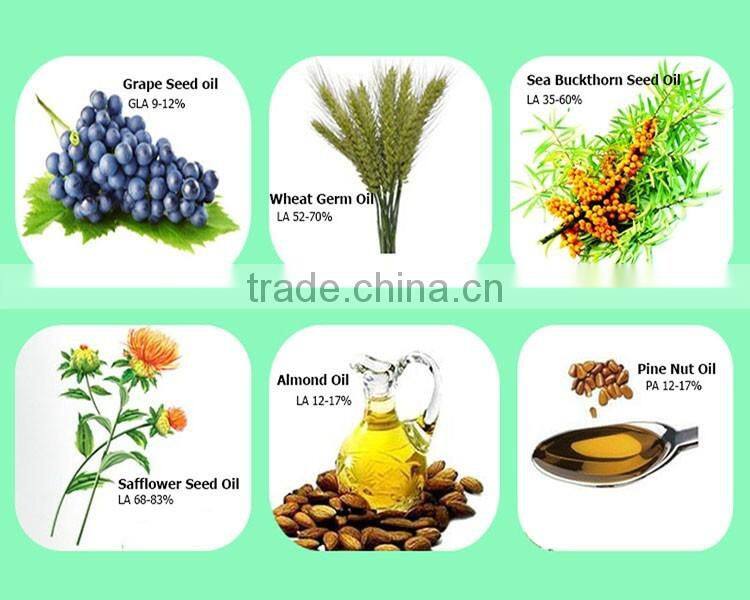 Various vitamins plant extract vegetable oil organic pumpkin seed oil omega 6