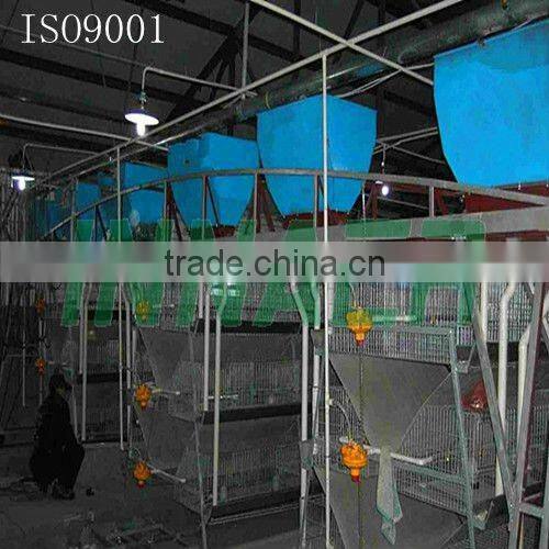 Supply Innaer Broiler Chicken Farm House(ISO9001) for Poultry Farming