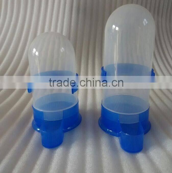 automatic pigeon water drinkers