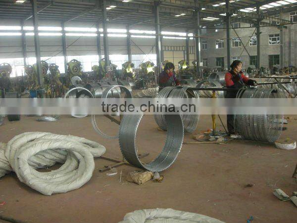 Security Wall Spikes