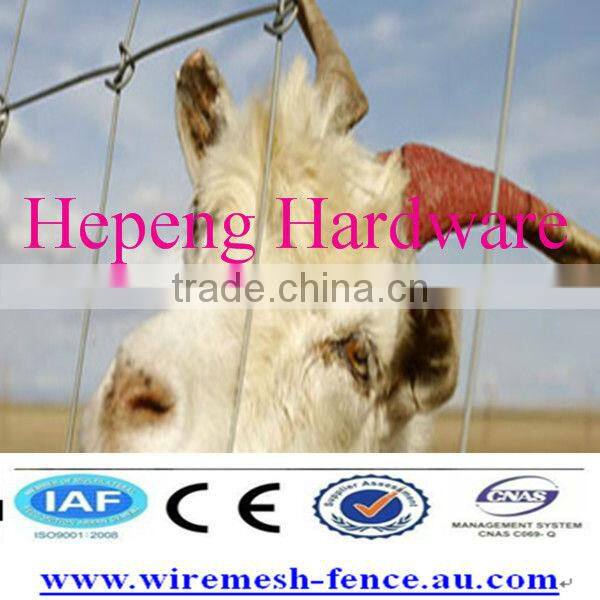 China Grassland Fence wire (ISO 9001 and CE)
