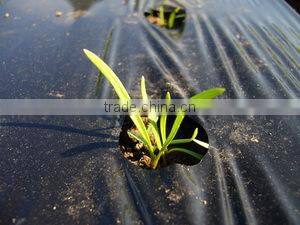 LDPE black rolls agriculture mulch film