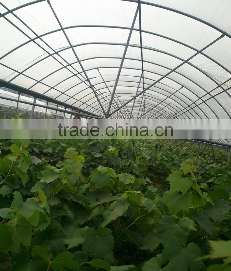 Hot quality low cost commercial greenhouse
