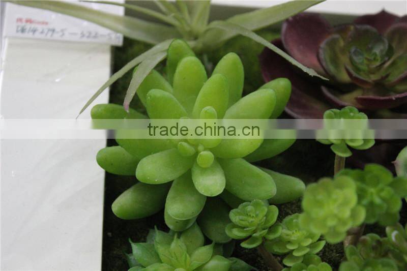 for home garden tiles deco 30*30*7cm paint color indoor artificial succlent boutique plant wall laminate combinations Ejq10 1201