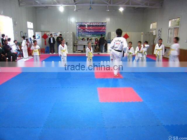 2017 trade assurance good price durable non toxic training taekwondo mat