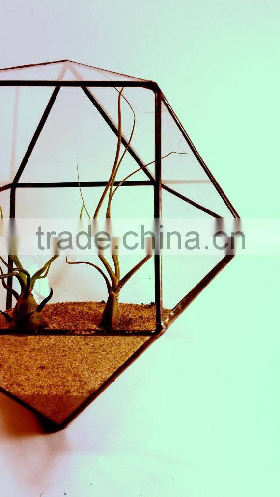 Minimalistic Decor Cuboctahedron Geometric Terrarium