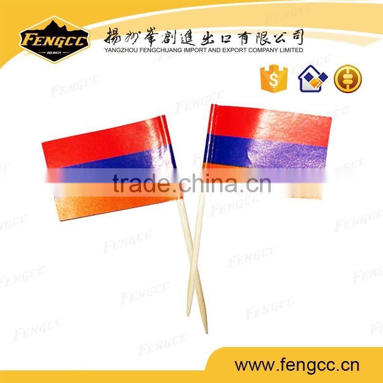 Promotion custom mini hand flag