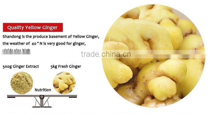 Instant Ginger tea lemon tea powder granules