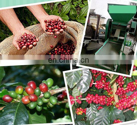 coffee pulper machine 0086-15838061675