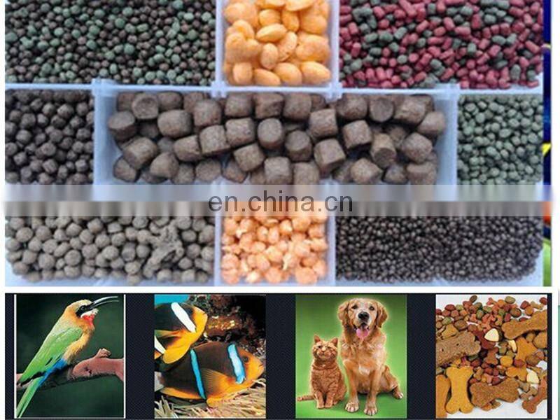 China Supplier Jinan Shandong Dog Cat Fish Twin Screw Extruders Machinery Dog Food Pellet Making Machine Equipment