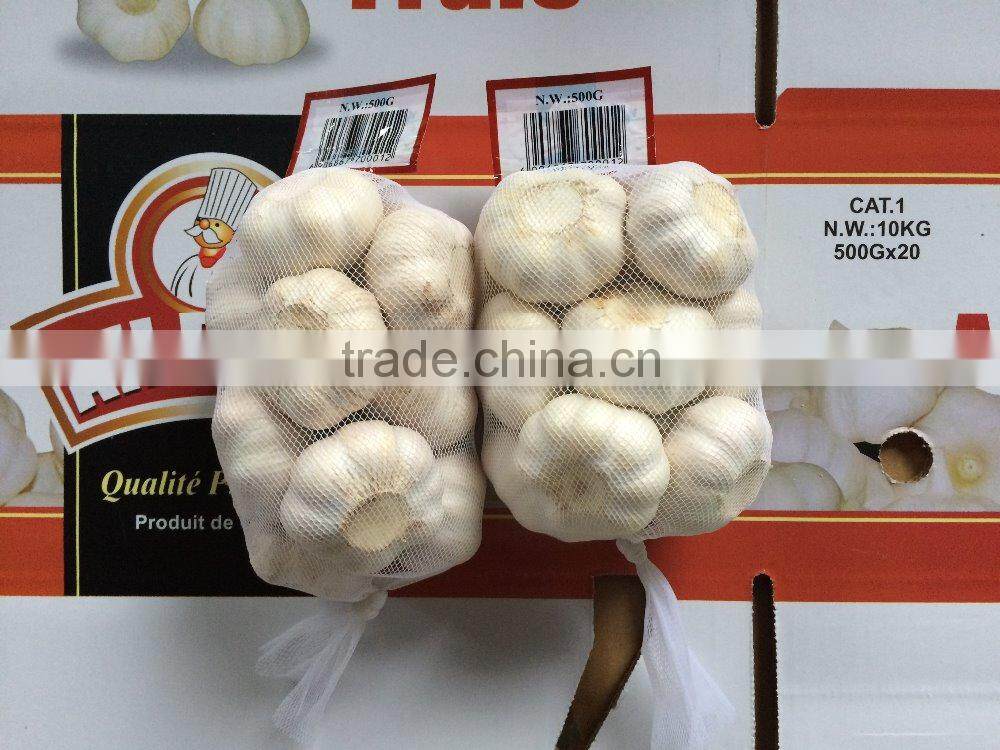 5.5CM Natural Fresh Red Garlic