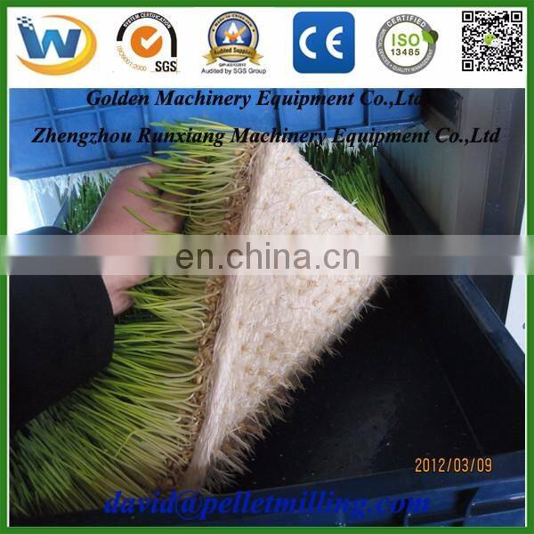 Automatic animal feed seed cattle green fodder bean sprout growing machine