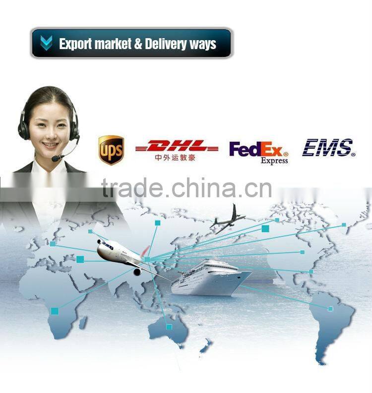 Promotion gift 5v mobile phone travel charger with CE&ROHS, with build in cable OEM is available