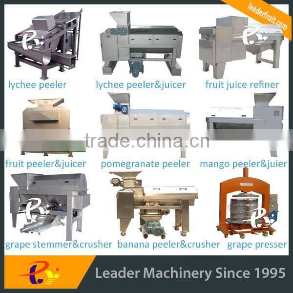 Leader stainless steel litchi fruit process line with CE & ISO