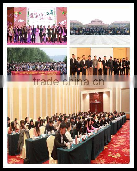 Cheap plastic ice scraper