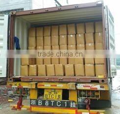 Ce Lightweight & Comfortable High Visibility Reflective Dog Vest With Adjustable Strap And Florescent Reflectors