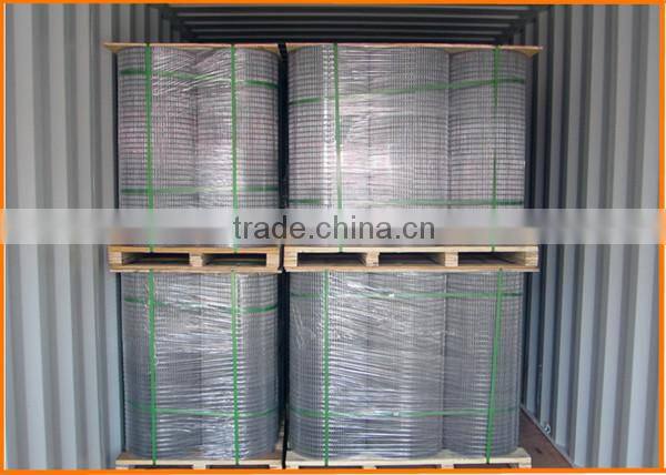 Cheap galvanized and PVC coated welded metal building wire mesh 19 gauge galvanized welded wire mesh