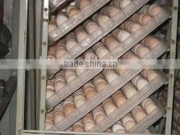 High strength steel plate egg incubator