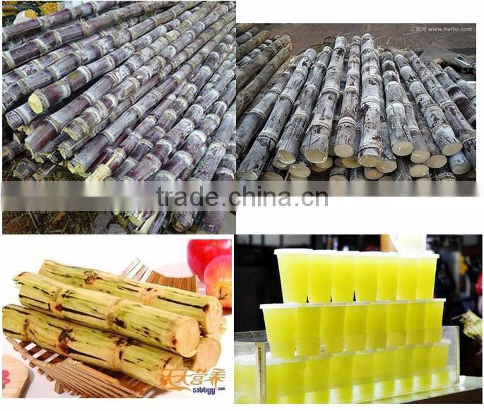 best discout home use sugar cane juice machine from China
