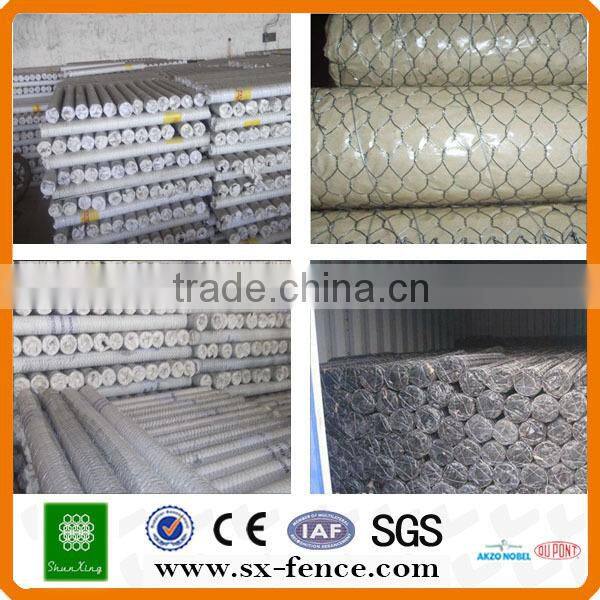 Galvanizedpvc coated chicken wire poultry mesh(ISO9001:2008 professional manufacturer)