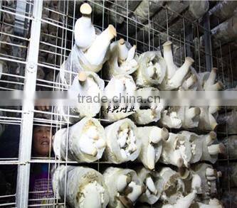 2016 Galvanized Welded wire mesh piece ,Construction wire mesh piece,