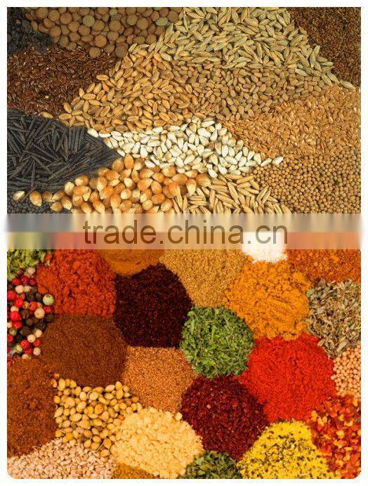 2015 BT-ACZ-C Large 2 Head Linear Weigher, form fill seal packaging machine