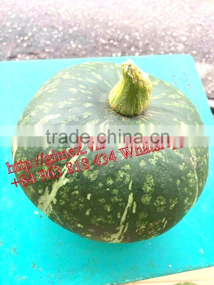 FRESH PUMPKIN +84963818434 whatsapp