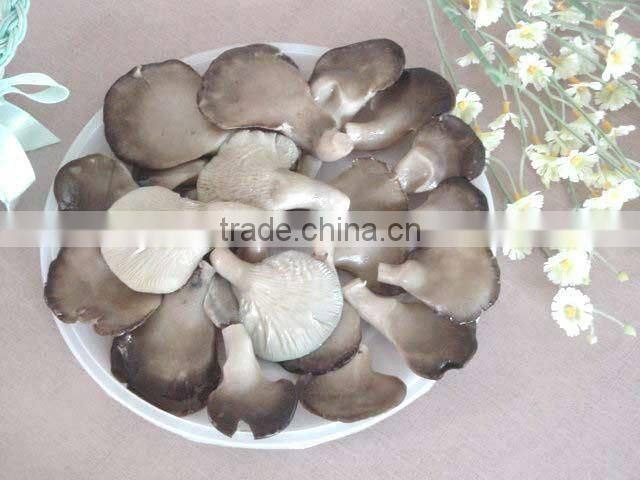 salted oyster mushroom in brine