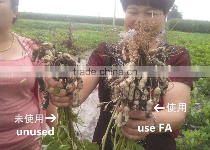 fulvic acid amino acid foliar fertilizer