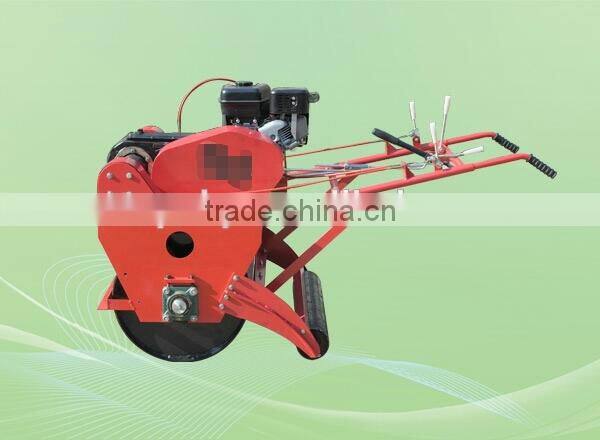 Walking Lawn Roller