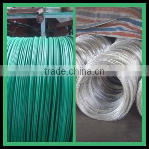 Chain Link Mesh Type and Low-Carbon Iron Wire Material Electro Galvanized Hex Wire Netting