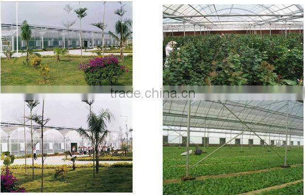 Multi Span Film Greenhouse For Agriculture