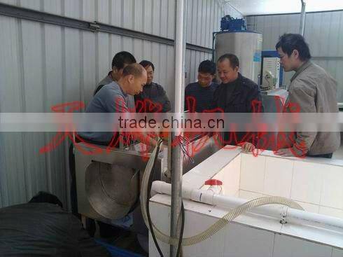 Guangxi Y. L. Vegetable Processing Factory
