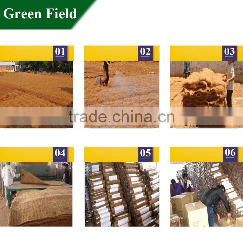 Indoor outdoor carpet roll,winter indoor outdoor carpet roll