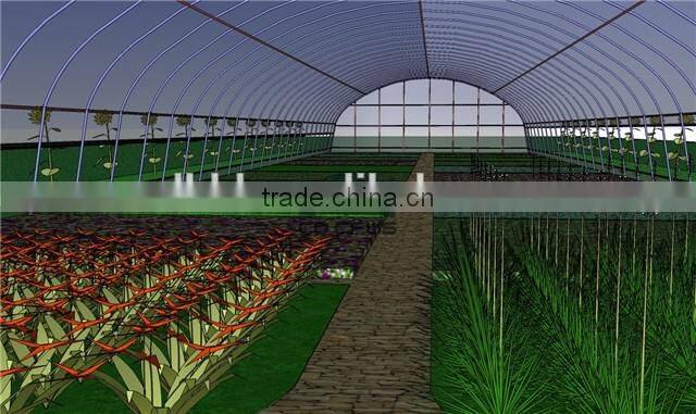 baolida simple tunnel greenhouse used greenhouse