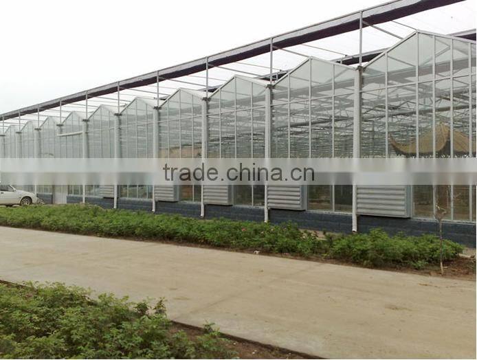 large size venlo type glass hydroponic greenhouse for sale