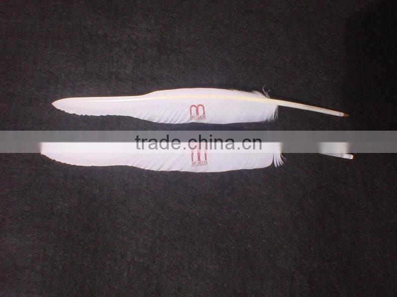 feather pens/quill pen/history pen