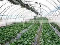 greenhouse shrink film/mulch shrink film