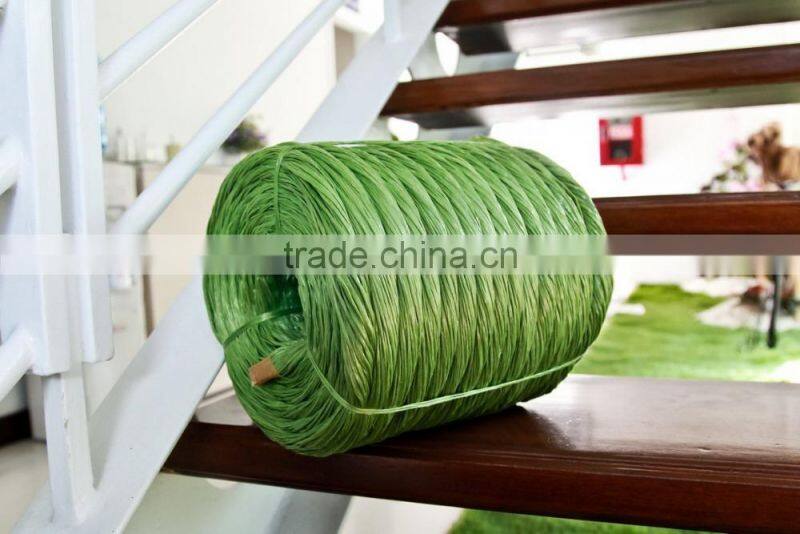 Professional Hanging Tomato Tree Hook Twine