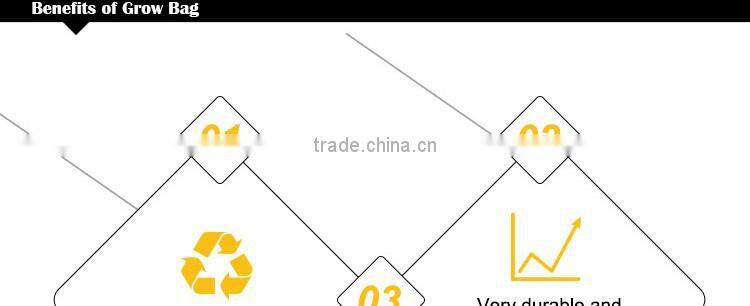 Green large grow bag vegetable smart grow bag