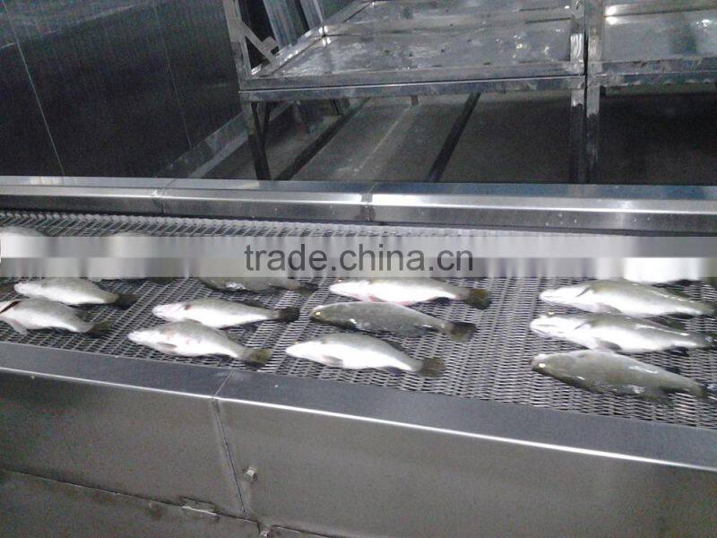 Frozen Asian Sea Bass Fish