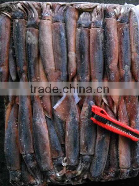 W/R Frozen Squid Argentina Illex Squid For Wholesale