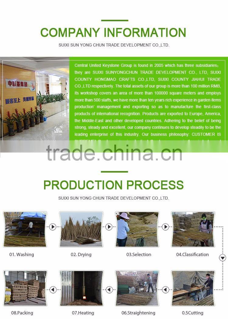 Privacy natural golden color reed fence curtain fencing for gardening