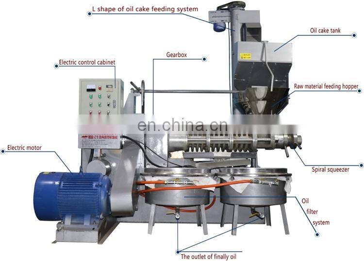 Screw black seeds oil press machinery with high performance