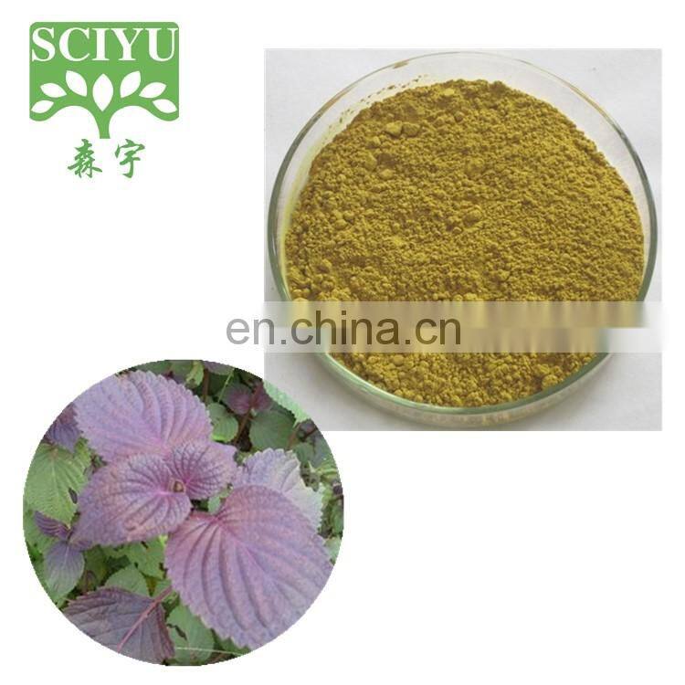 Factory Supply Perilla Extract 10:1 20:1 Perilla Leaf Extract