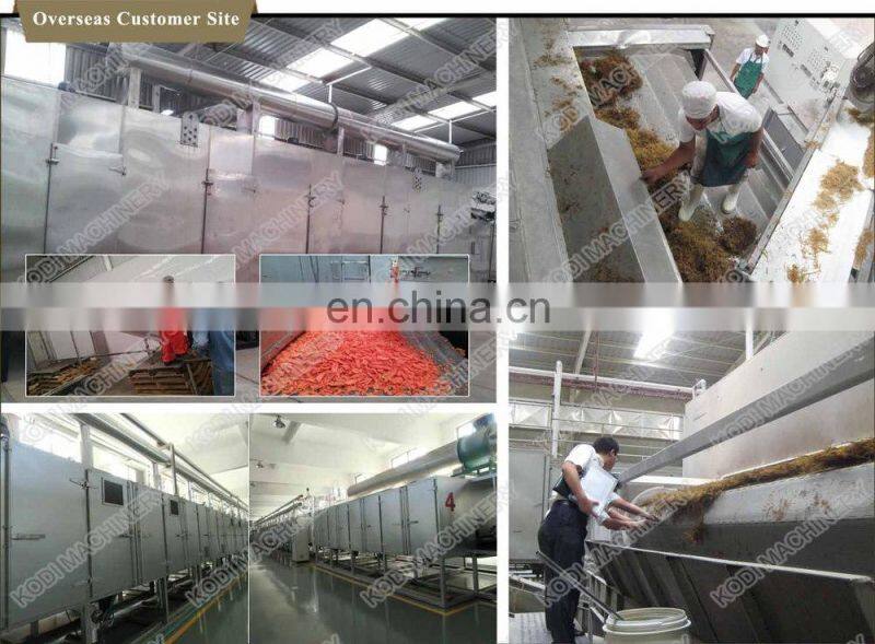 KODI Hot Sale Chilli Red Pepper Dryer Machine Herb Tea Belt Dryer
